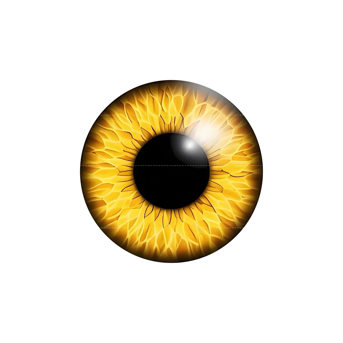 BJD SD Beast's Eye eyeball Pop - đánh giá và giá Resin Art Gift For Birthday